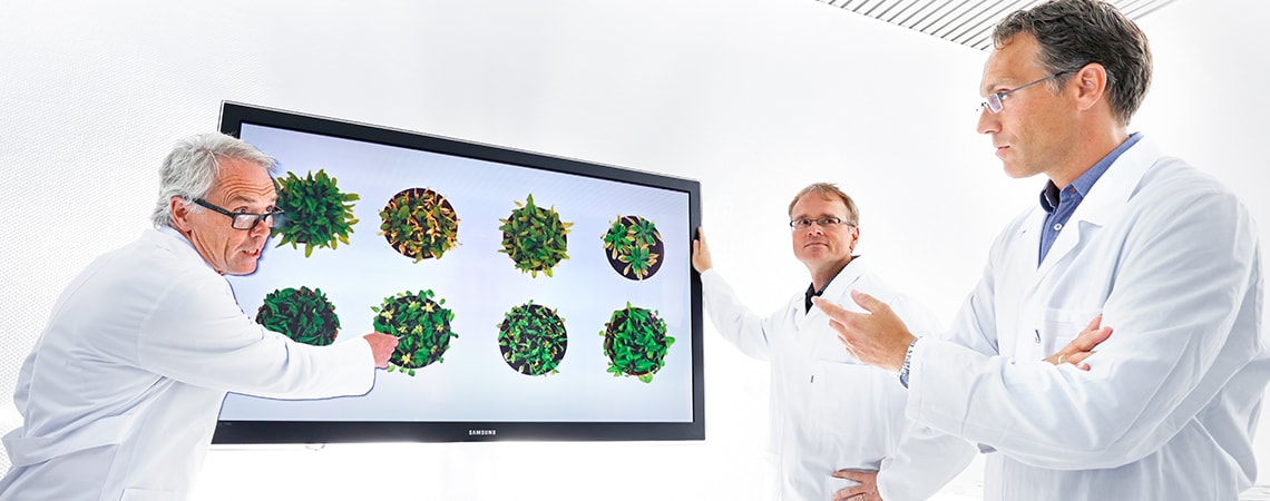 3 znanstvenika govore o sastojcima lijeka Iberogast prilikom gledanja slike biljaka na zaslonu